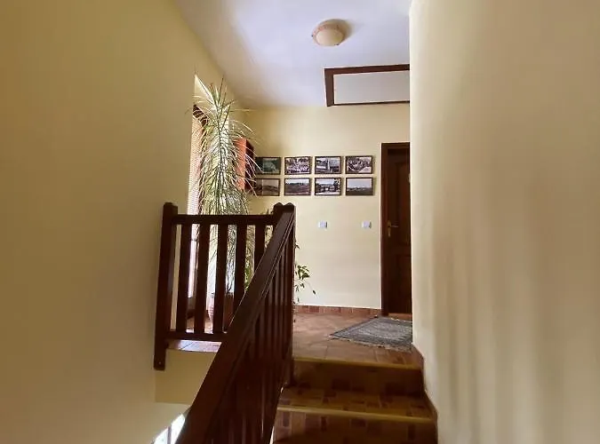 Oko زلاتيبور